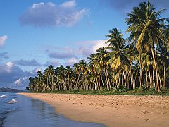 Pinneys Beach, Nevis, West Indies